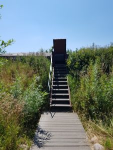 Bunker